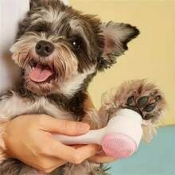 Pet Nylon Paw Brush Gentle Grooming And Massage Tool