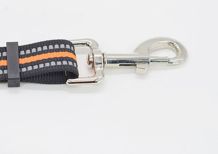 Nylon Retractable Pet Leash For Assisted Walking Control