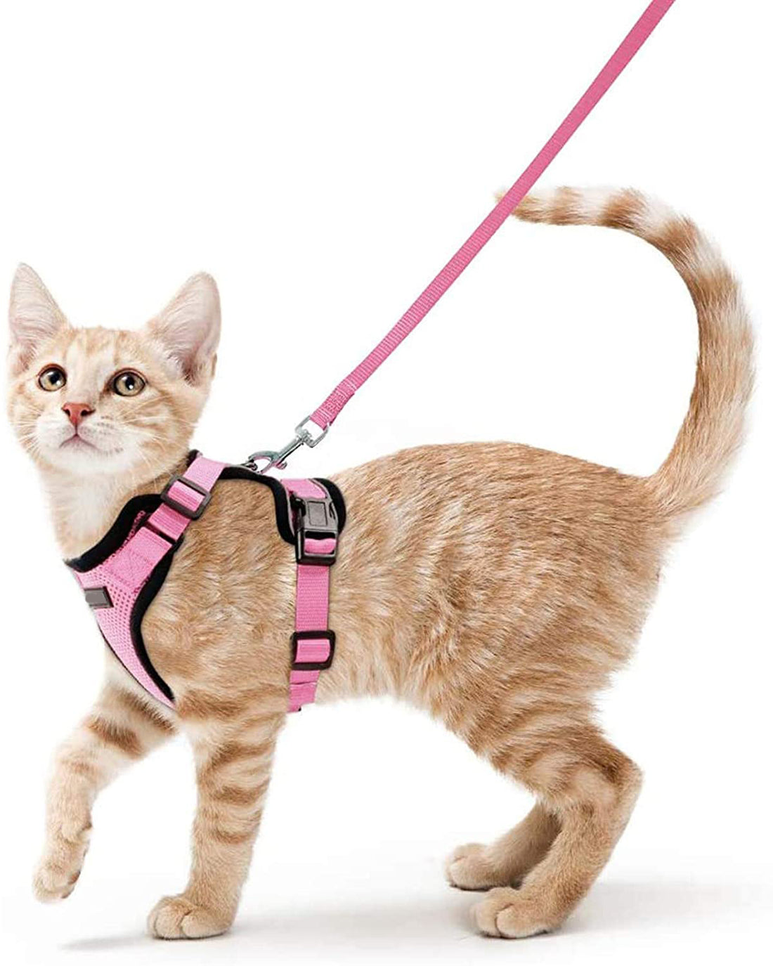 Adjustable Vest Style Pet Leash Anti Escape Design