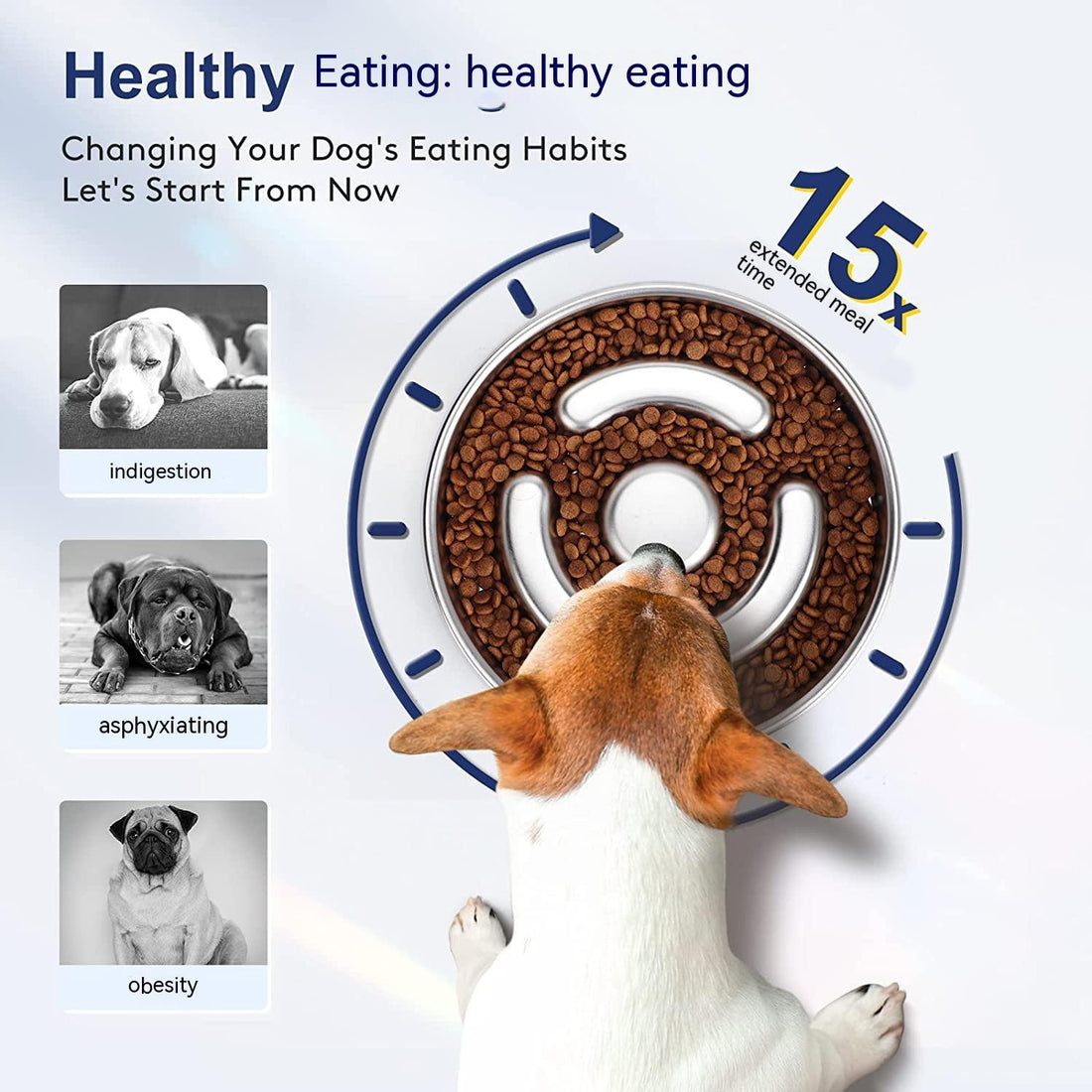 Pet Slow Feeding Bowl Stainless Steel Neck Protection Design