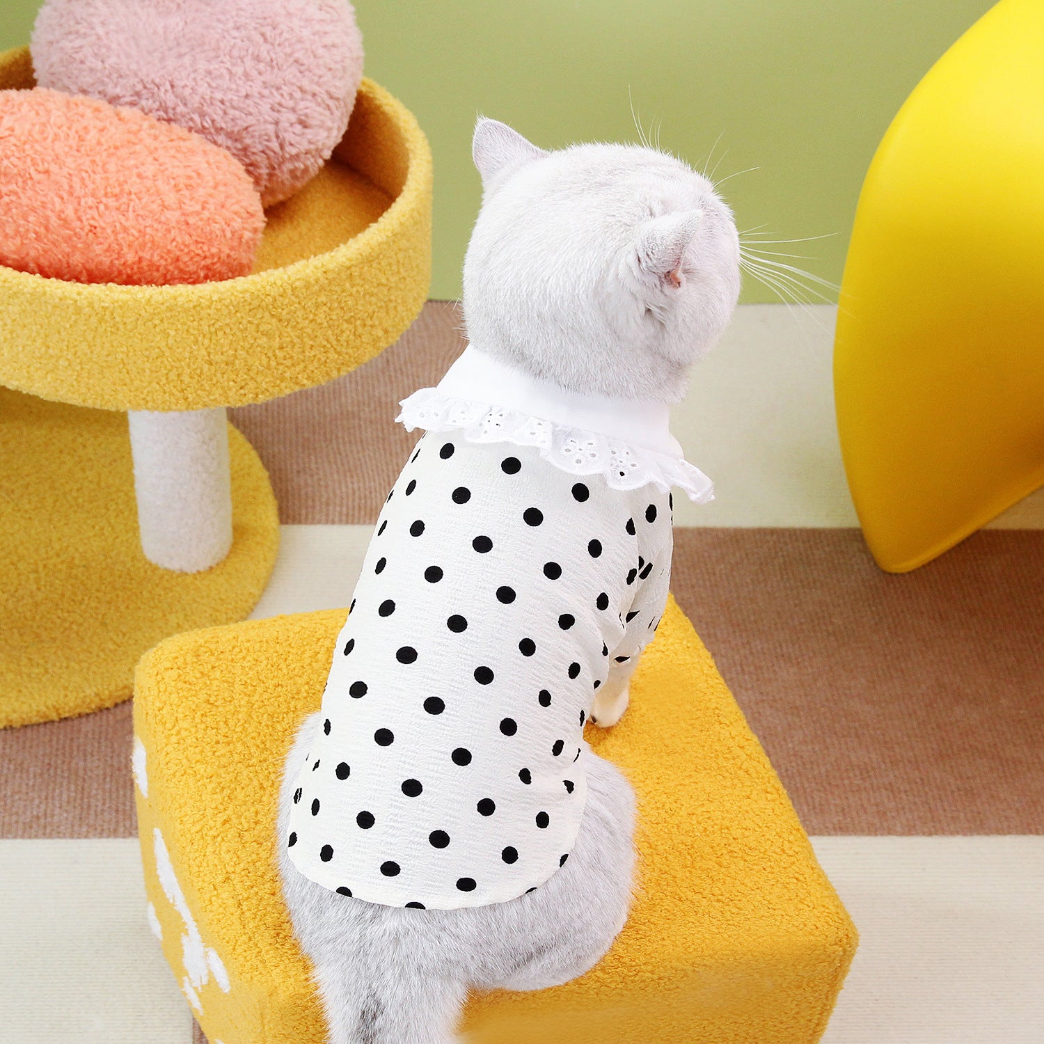 Pet Blue T-Shirt Casual Clothing Apparel