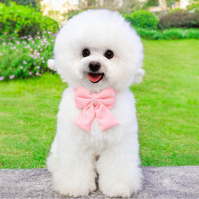 Adjustable Pet Leash And Harness For Outdoor Use