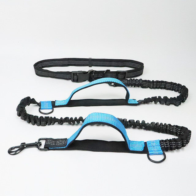 Adjustable Pet Harness And Leash For Jogging Use