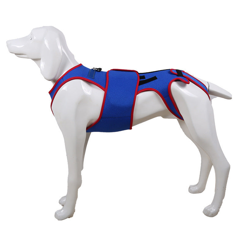 Pet Spine Support Jacket Posture Correction Apparel