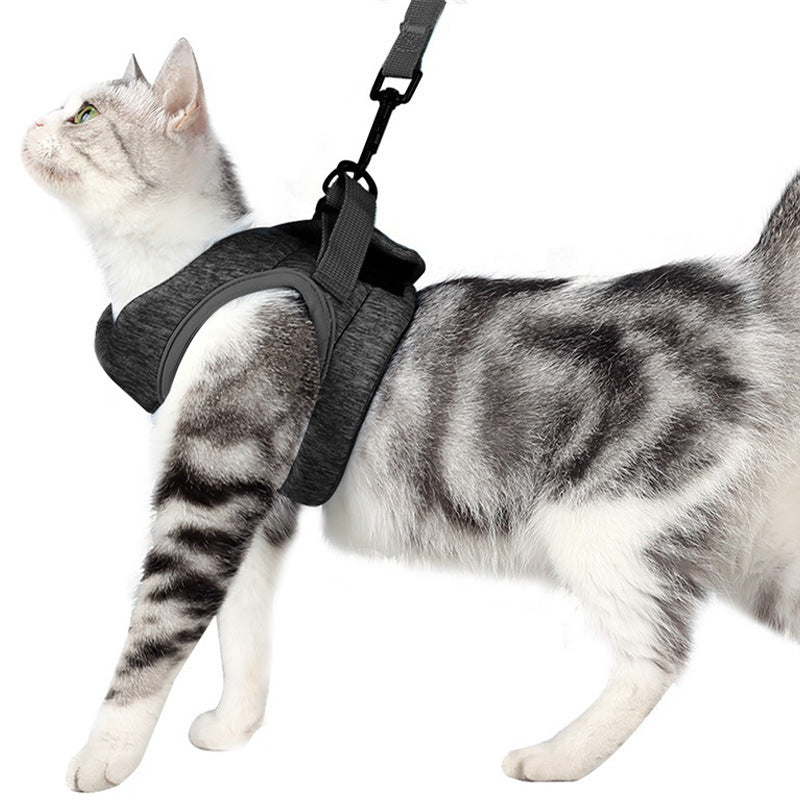 Breathable Lightweight Pet Chest Strap And Leash Set