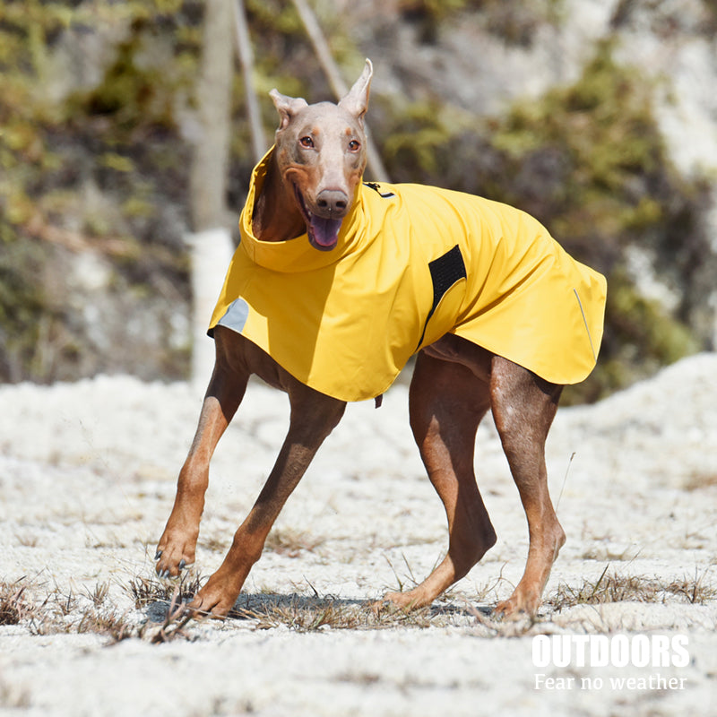Pet Waterproof Shell Jacket Raincoat Windproof Apparel