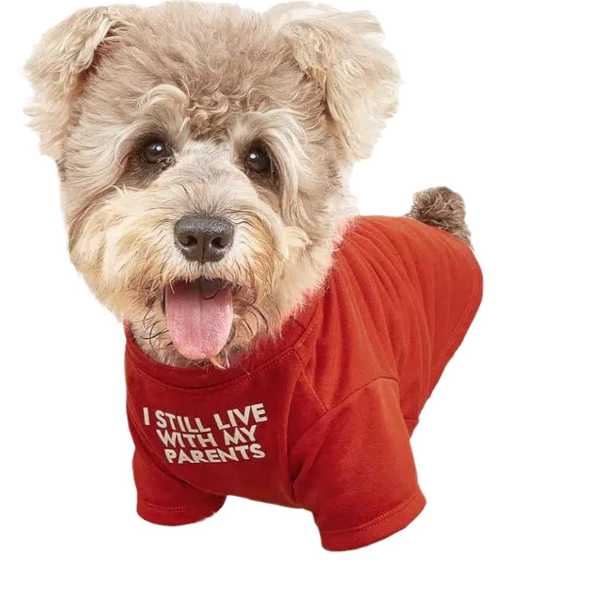 Pet Round Neck T-Shirt Casual Clothing Apparel