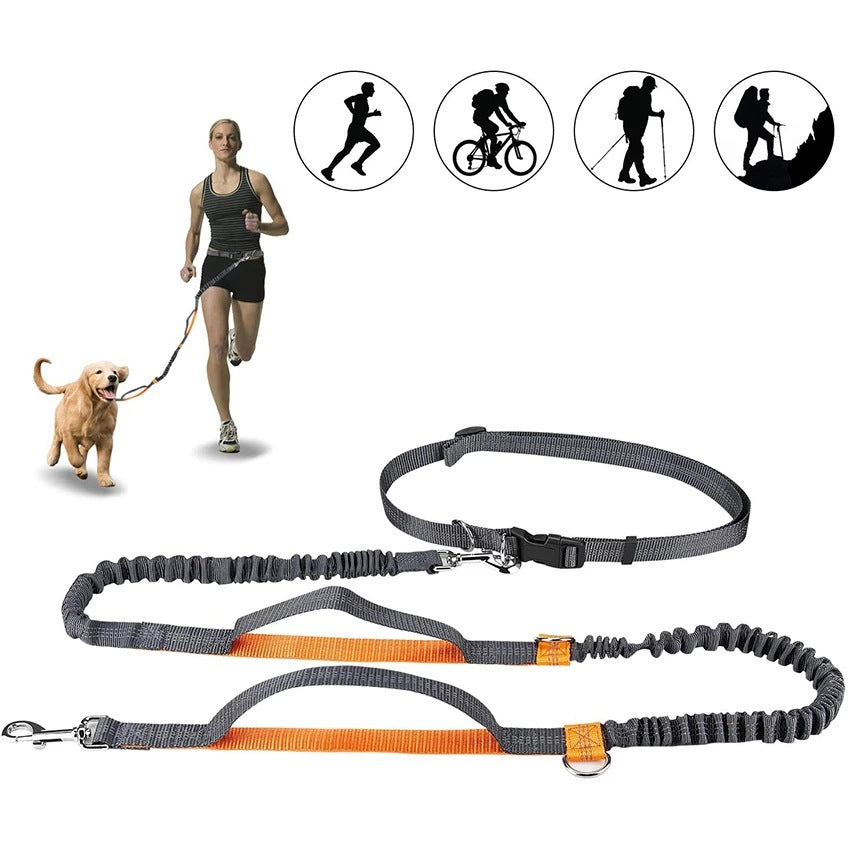 Adjustable Pet Harness And Leash For Jogging Use