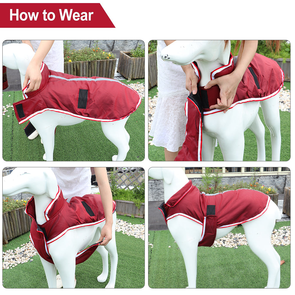 Pet Waterproof Jacket Warm Autumn Winter Leisure Apparel