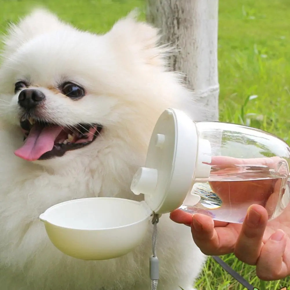 Pet Portable Travel Water Bottle With Feeding Bowl Lanyard