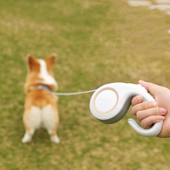 Automatic Retractable Pet Leash For Outdoor Walking Use