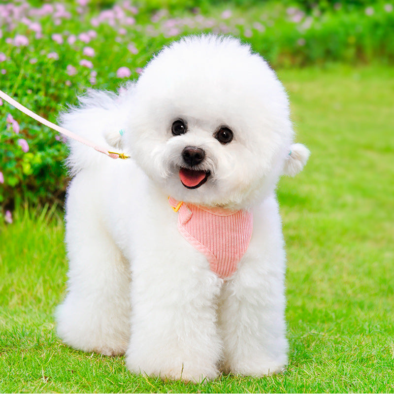 Adjustable Pet Leash And Harness For Outdoor Use
