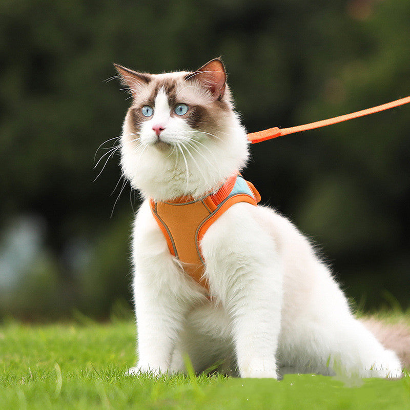 Reflective Anti Escape Pet Harness Leash For Outdoor Use