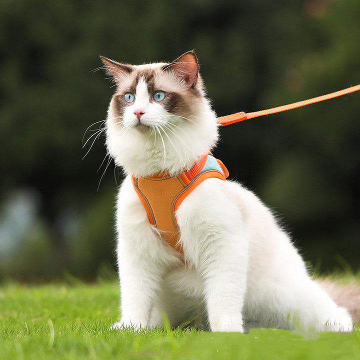 Reflective Anti Escape Pet Harness Leash For Outdoor Use