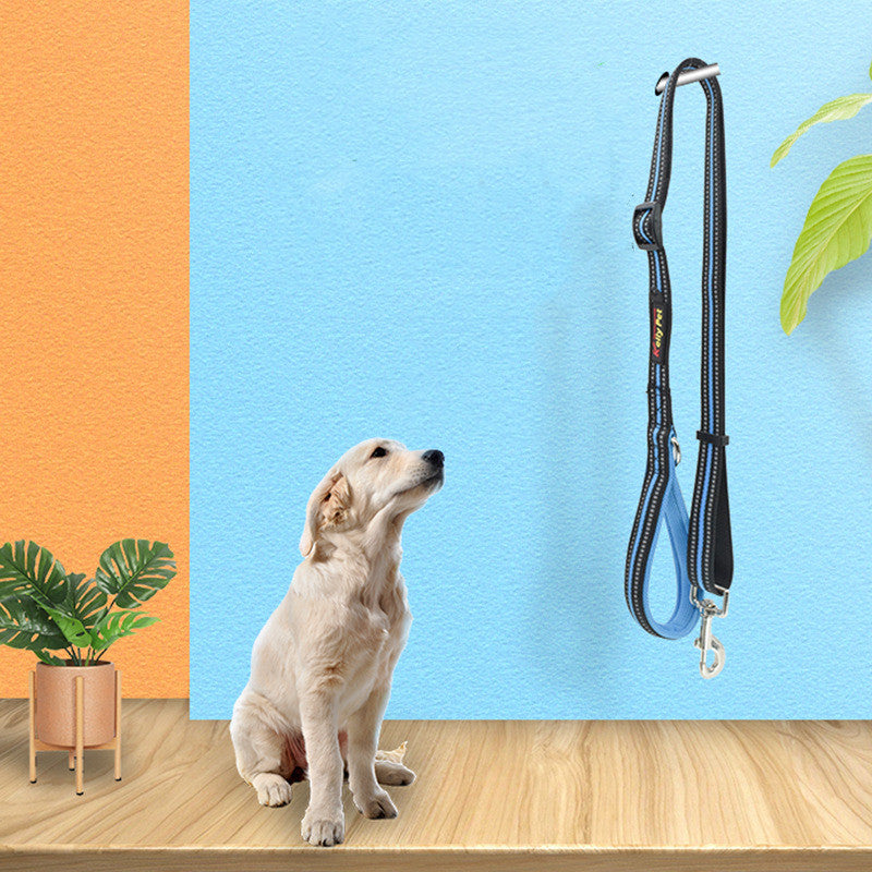 Nylon Retractable Pet Leash For Assisted Walking Control