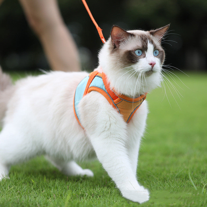 Reflective Anti Escape Pet Harness Leash For Outdoor Use