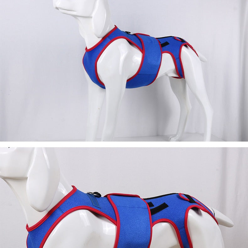 Pet Spine Support Jacket Posture Correction Apparel
