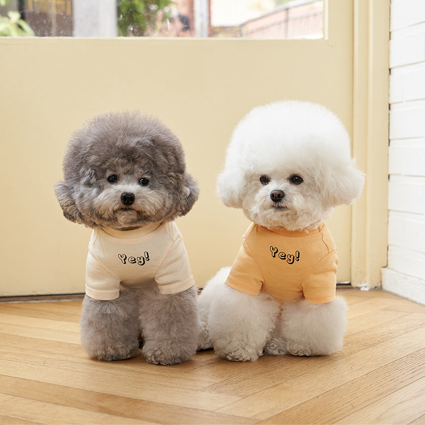 Pet Cotton T-Shirt Short Sleeve Color Print Apparel