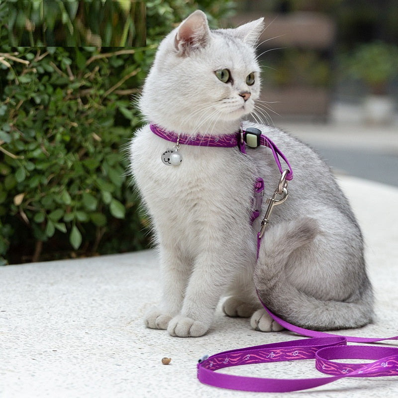 Adjustable Pet Harness And Leash Set With Bell