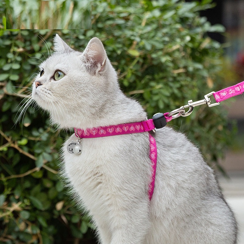 Adjustable Pet Harness And Leash Set With Bell