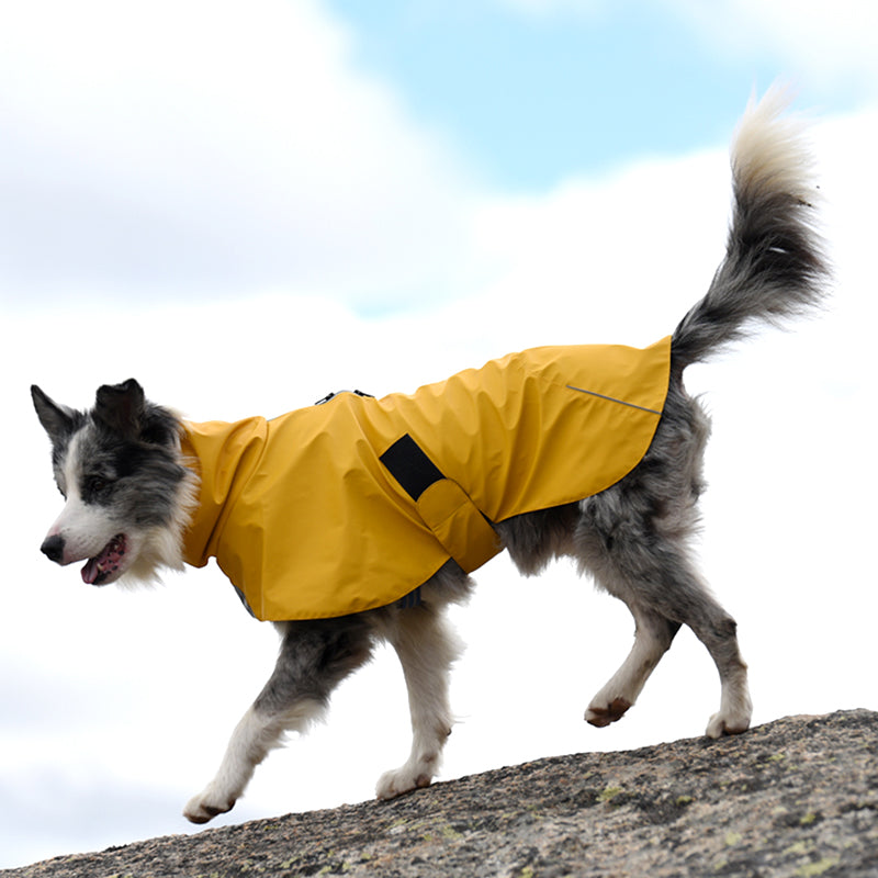 Pet Waterproof Shell Jacket Raincoat Windproof Apparel