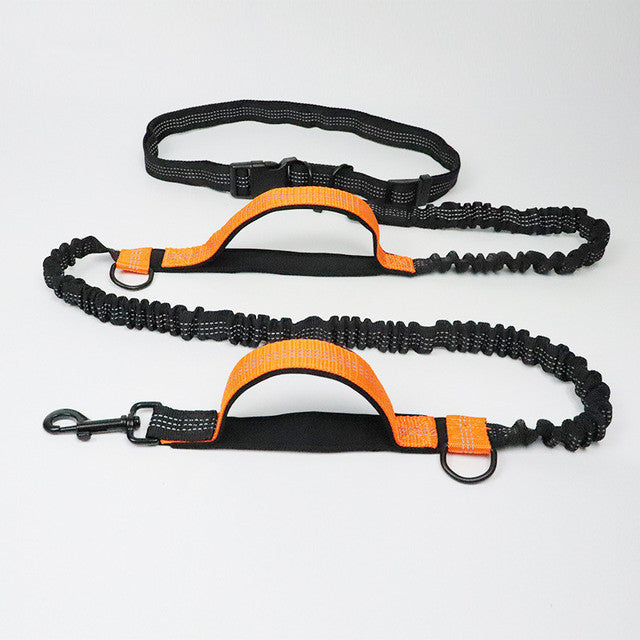 Adjustable Pet Harness And Leash For Jogging Use