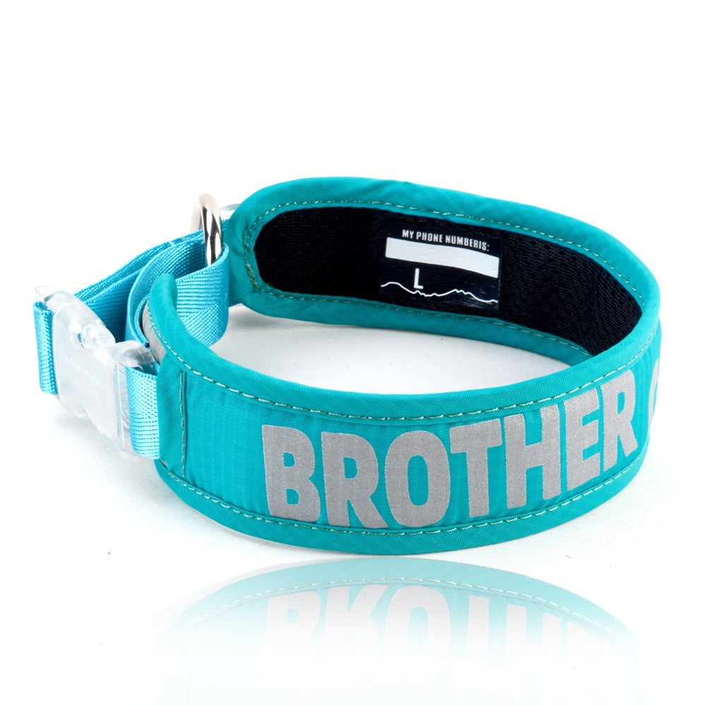 Heavy Duty Pet Chest Strap Leash With Storage Bag